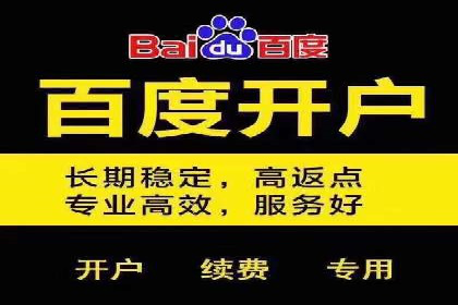SEM推广代运营案例深度剖析